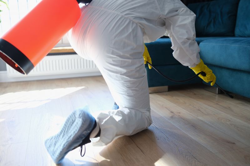 Rat Fumigation Service in Phoenix, AZ