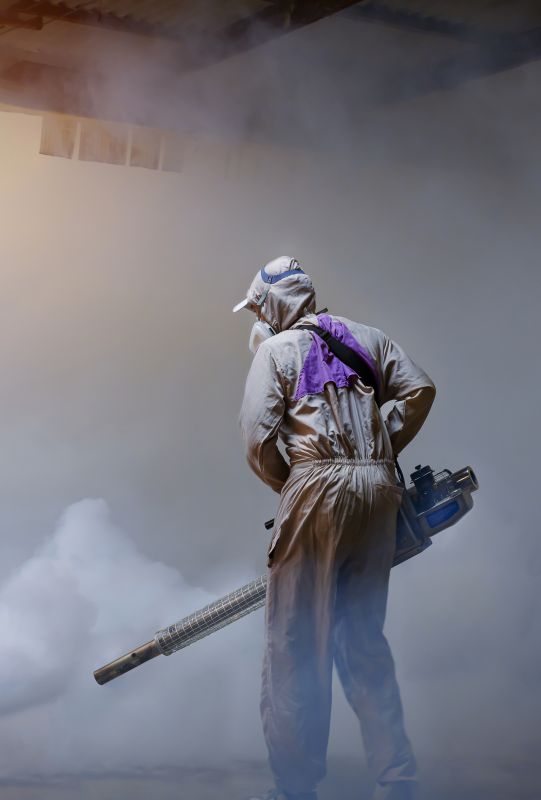 Roach Fumigation in San Antonio, TX